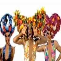 STAGE TUBE: PRISCILLA Does 'Single Ladies'